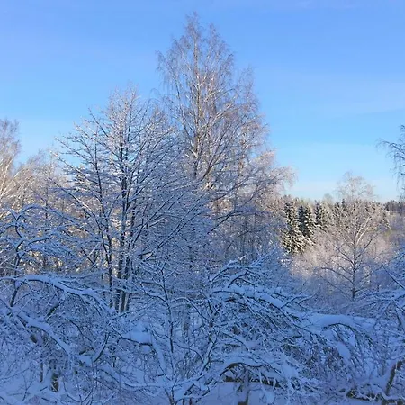 Jokivarsi Oda ve Kahvaltı Vantaa