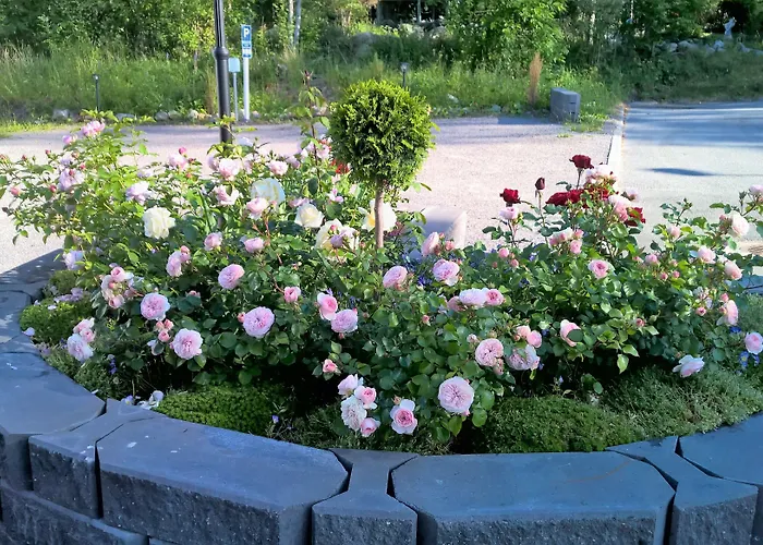 Jokivarsi Panzió