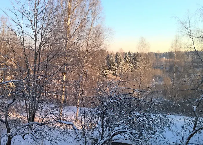 Jokivarsi Отель типа 