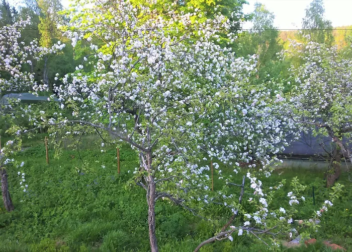 Jokivarsi 3* Вантаа